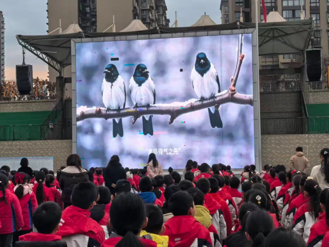 С������ů����÷��������������